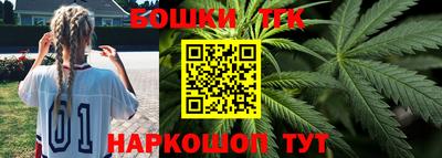 индика Владикавказ