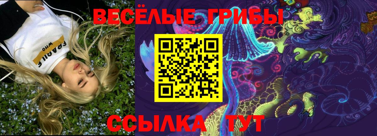 Псилоцибиновые грибы MAGIC MUSHROOMS  Вход с VPN  купить наркотики цена  Богородицк 