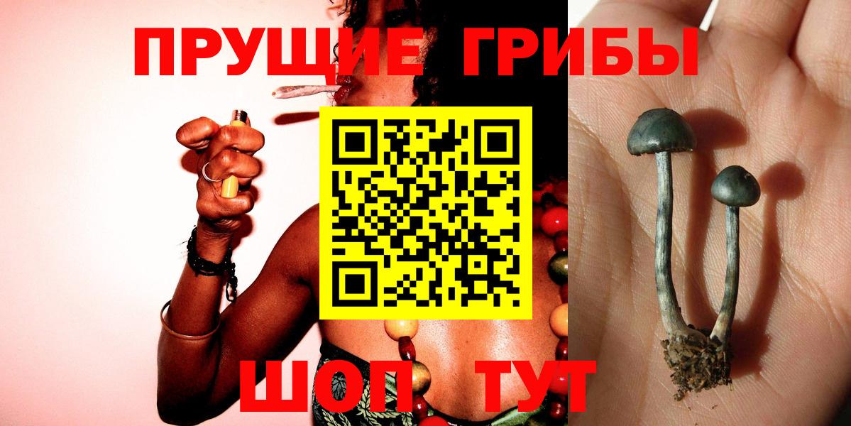Галлюциногенные грибы MAGIC MUSHROOMS Богородицк